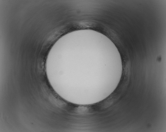 X0000116630418200912312204
