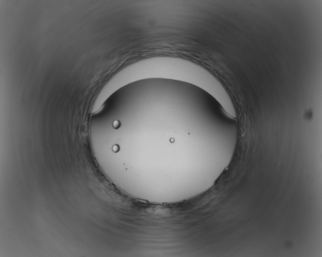 X0000116630419200912312204
