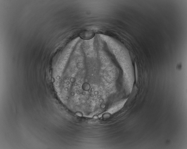 X0000116630420200912312204