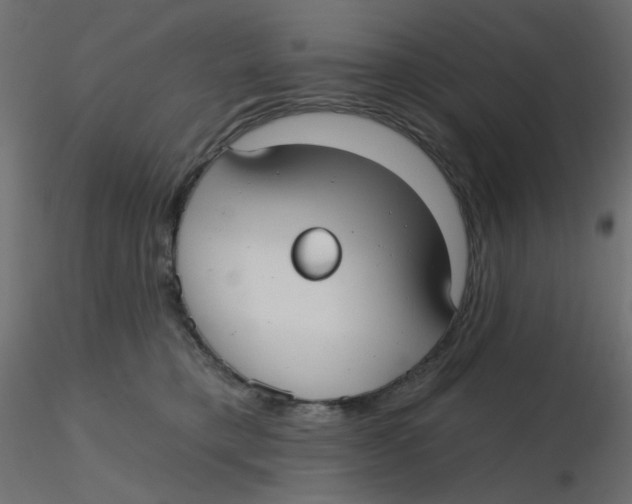 X0000116630421200912312204