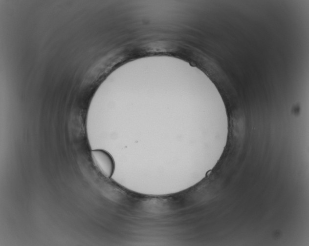 X0000116630422200912312204