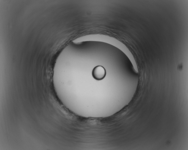 X0000116630424200912312204