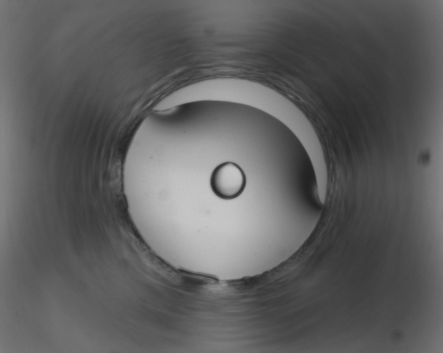 X0000116630425200912312204