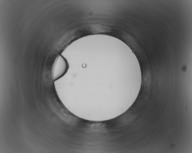 X0000116630426200912312204