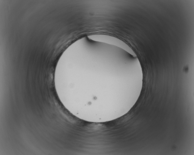 X0000116630427200912312204