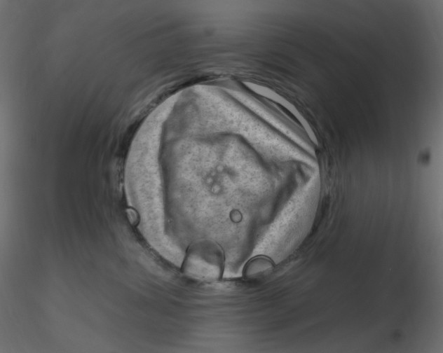 X0000116630428200912312204