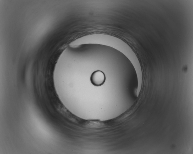 X0000116630429200912312204