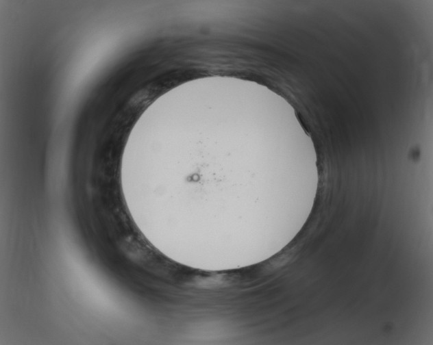 X0000116630430200912312204