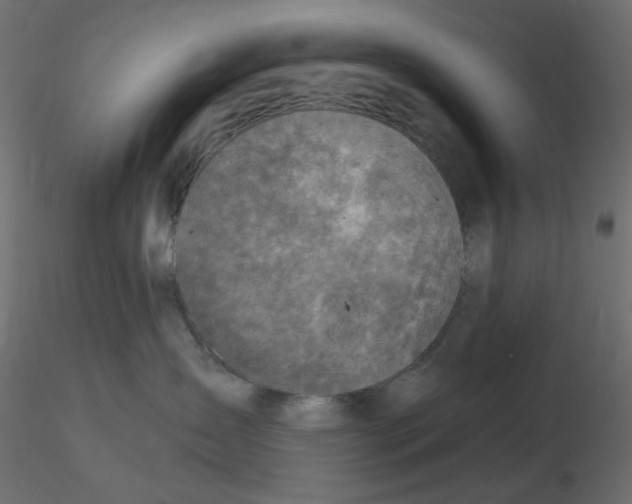 X0000116630431200912312204