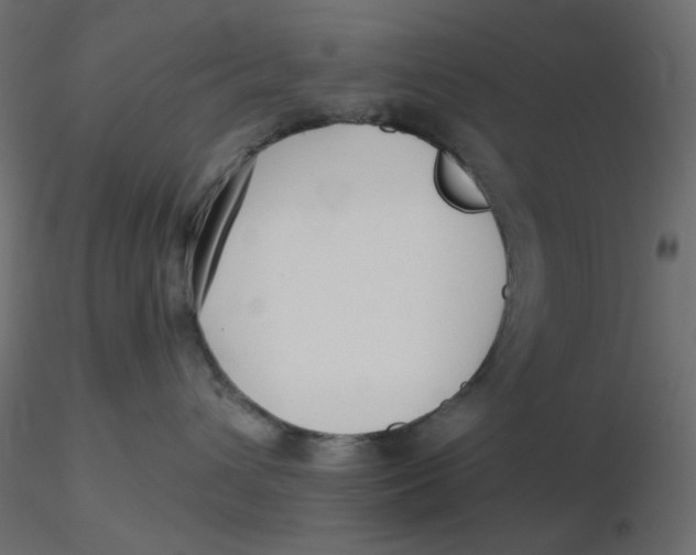 X0000116630432200912312204