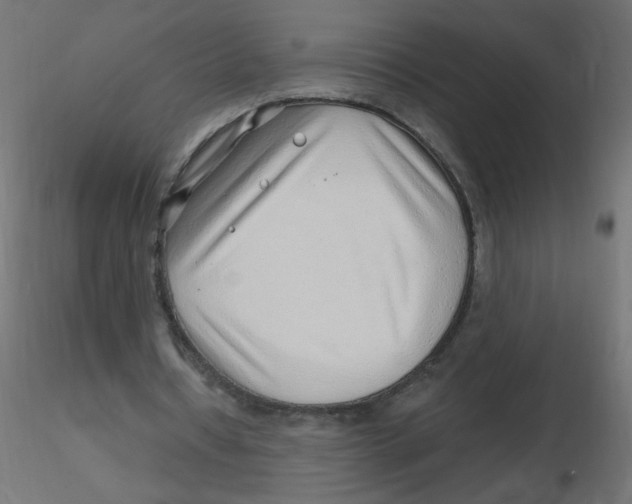 X0000116630434200912312203