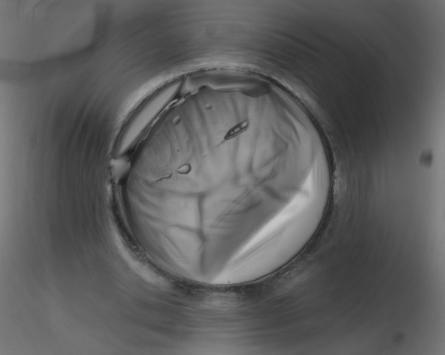 X0000116630438200912312203