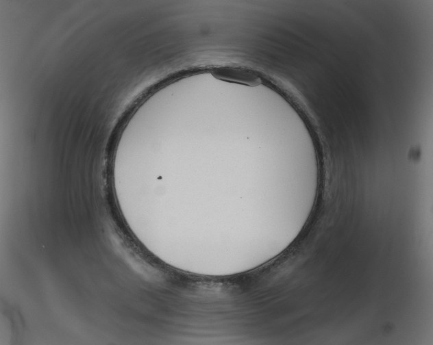 X0000116630439200912312203