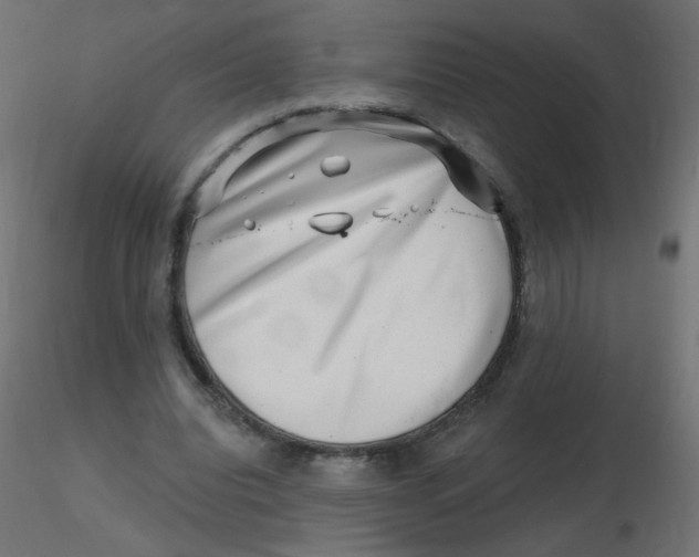 X0000116630440200912312203