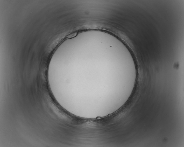X0000116630441200912312203