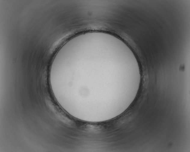 X0000116630442200912312203