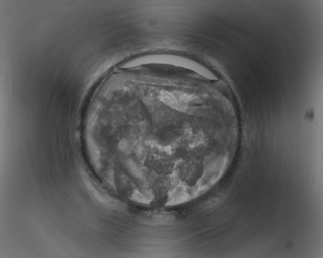 X0000116630443200912312203