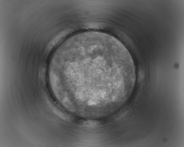 X0000116630444200912312203
