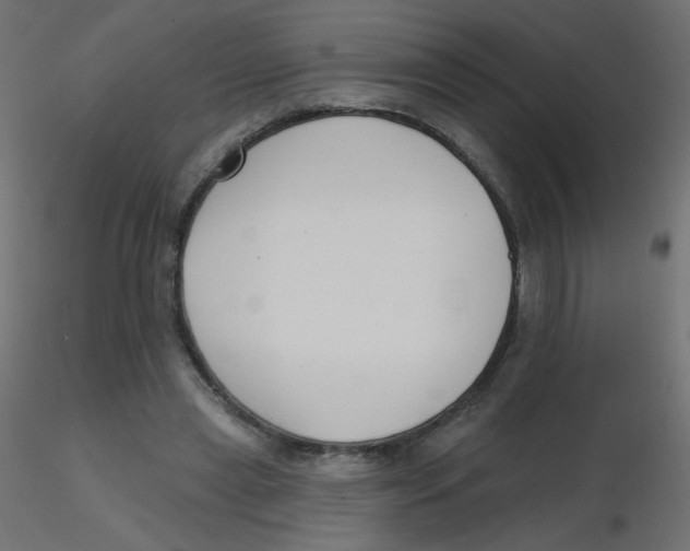 X0000116630445200912312203