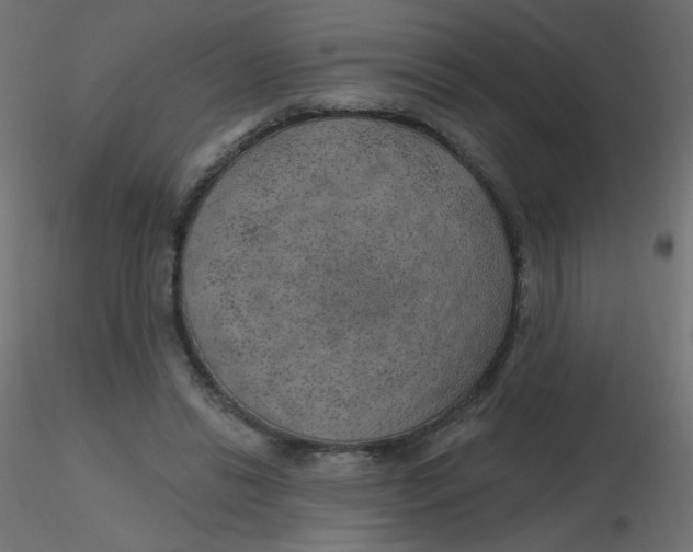 X0000116630446200912312203