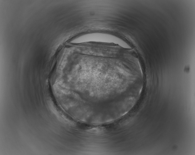 X0000116630447200912312203