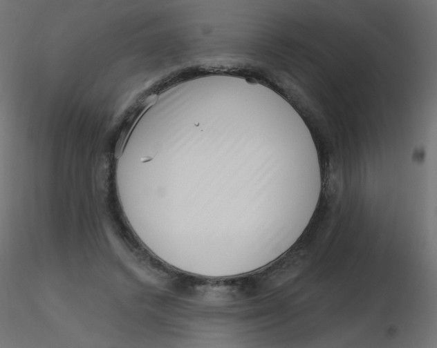 X0000116630448200912312203
