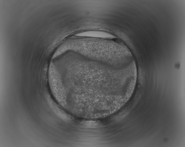 X0000116630449200912312203