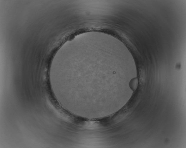 X0000116630451200912312203