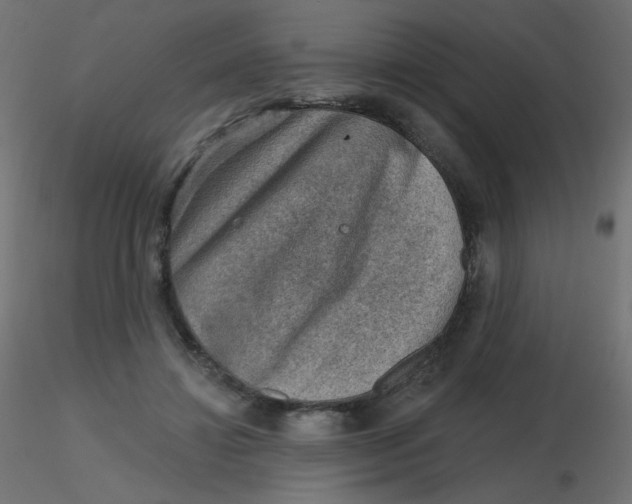 X0000116630452200912312203