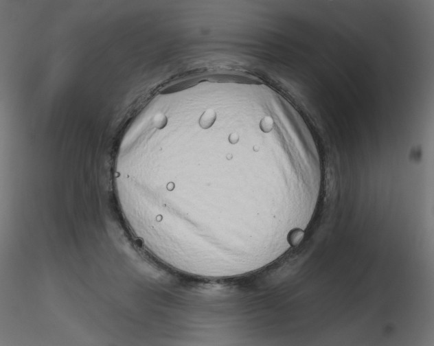 X0000116630453200912312203