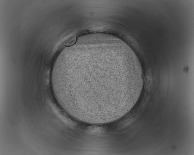 X0000116630454200912312203