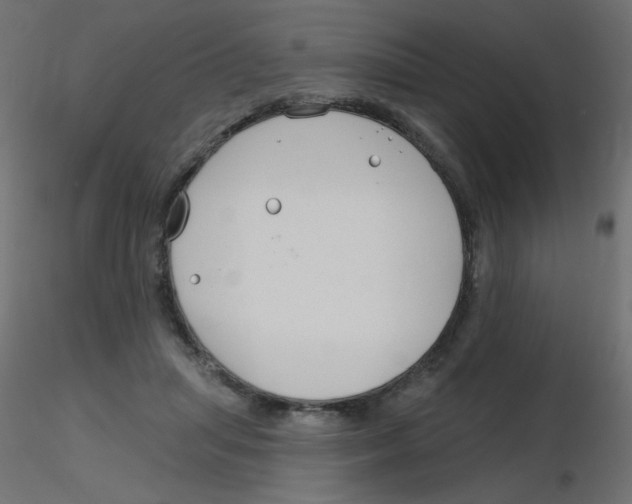 X0000116630455200912312203