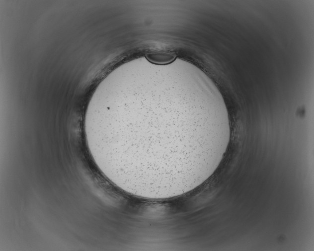 X0000116630456200912312203
