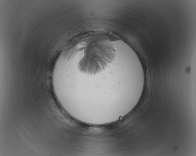 X0000116630457200912312203