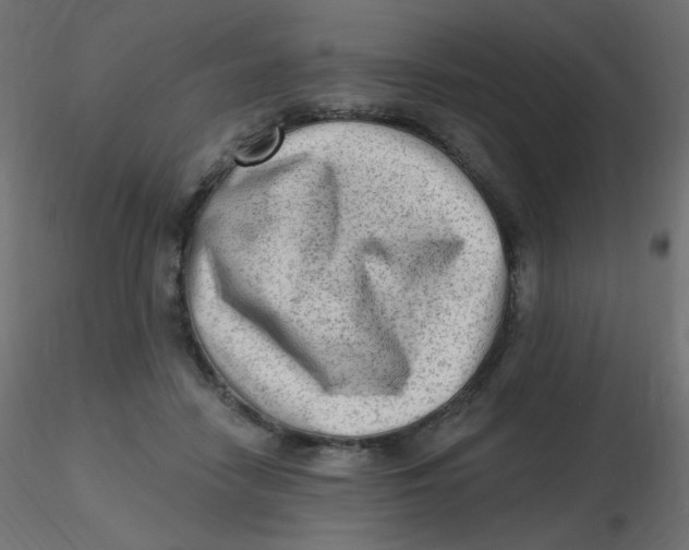 X0000116630458200912312203