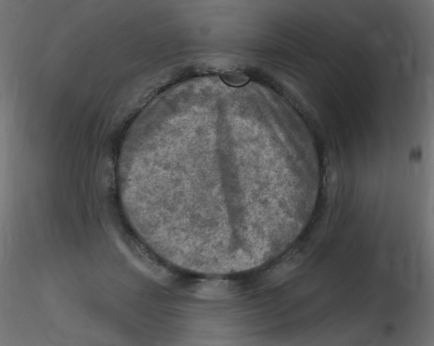 X0000116630459200912312203