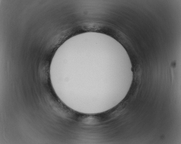 X0000116630460200912312203