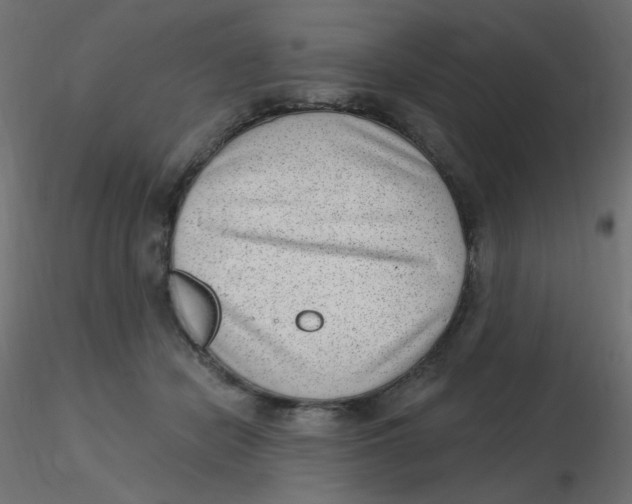 X0000116630462200912312203