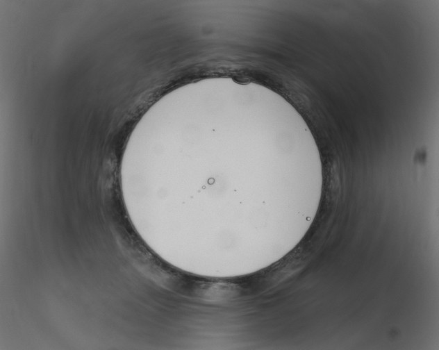 X0000116630463200912312203