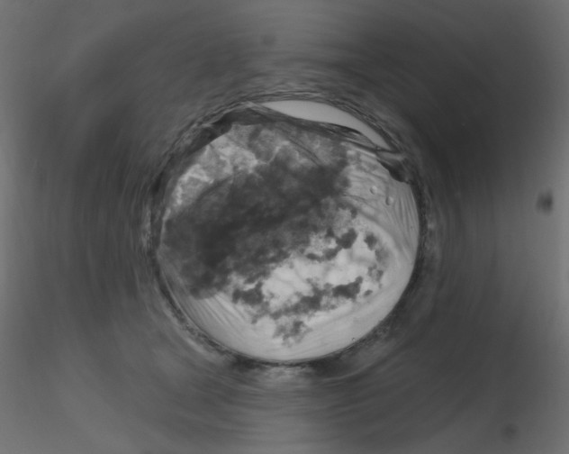 X0000116630465200912312203