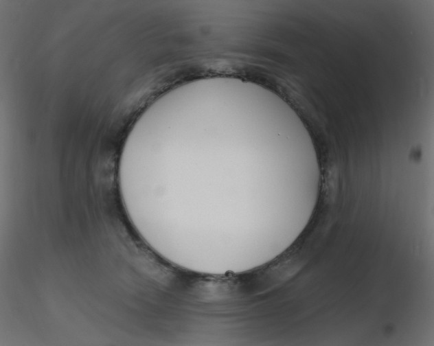 X0000116630466200912312203