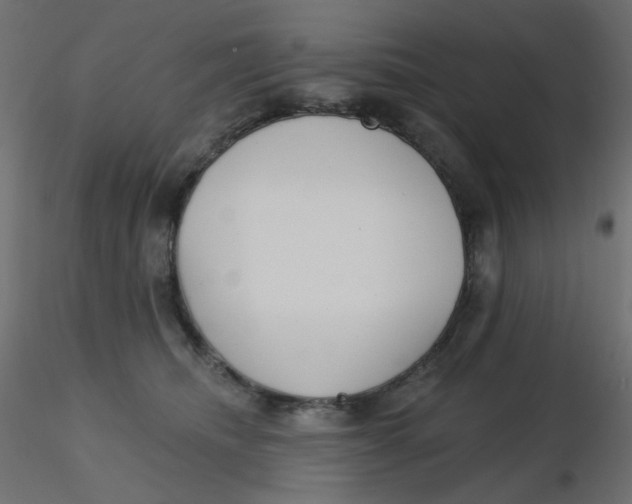 X0000116630468200912312203