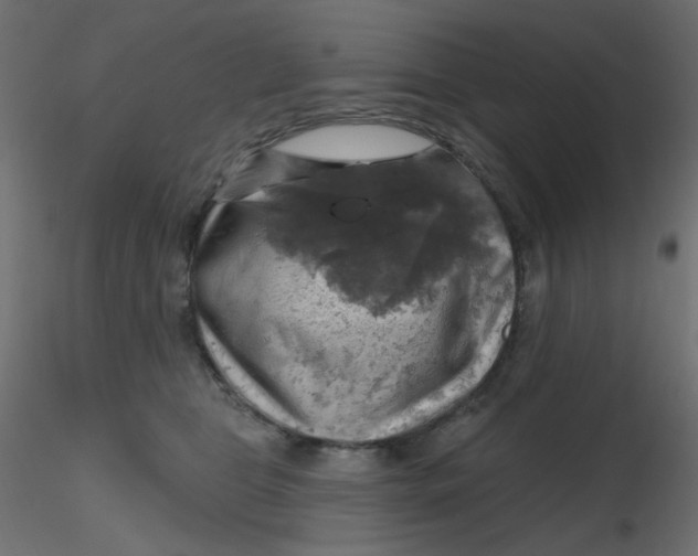 X0000116630469200912312203