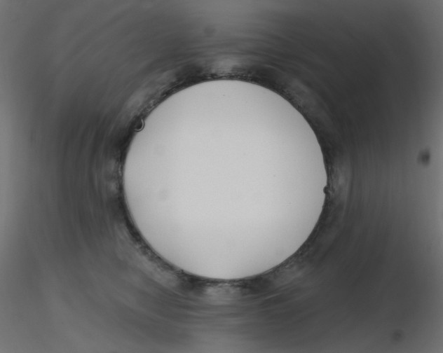 X0000116630470200912312203