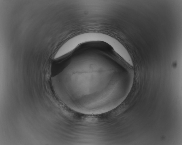 X0000116630471200912312203