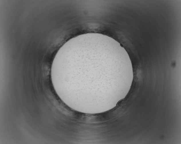X0000116630472200912312203