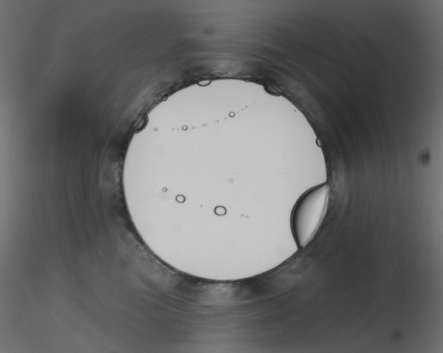 X0000116630473200912312203