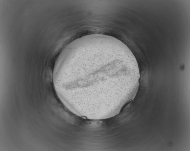 X0000116630474200912312203