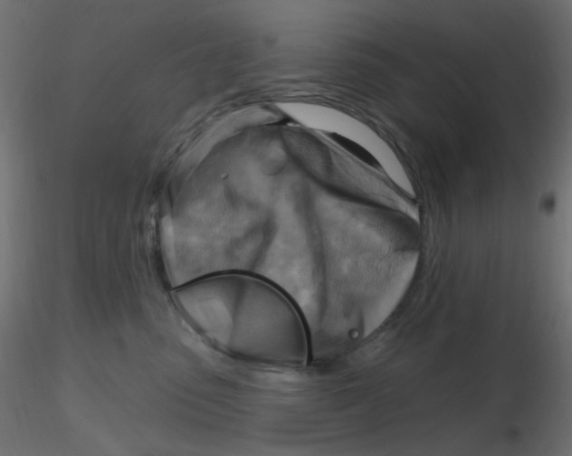 X0000116630475200912312203