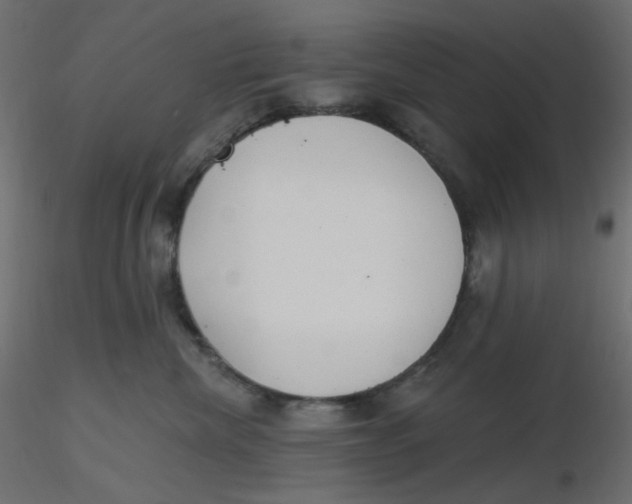 X0000116630476200912312203